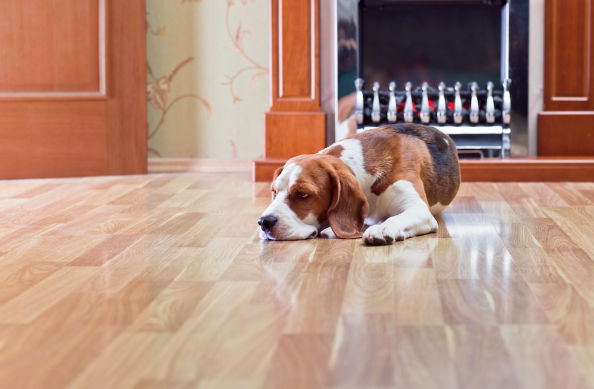 Laminate floor installation 